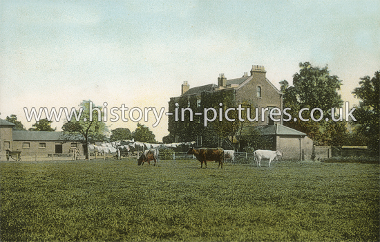 The Farm, Goodmayes, Essex. c.1908